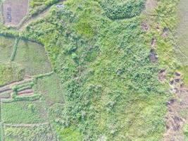 aereo Visualizza di terra Mappatura di senza equipaggio aereo veicolo nel bogor, Indonesia. foto