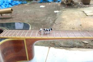 miniatura figura di un' contadino aratura un' campo con il suo mucca su un' chitarra. foto