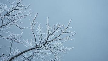 il bellissimo congelato montagne Visualizza coperto di il bianca neve e ghiaccio nel inverno foto