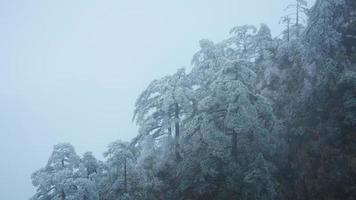 il bellissimo congelato montagne Visualizza coperto di il bianca neve e ghiaccio nel inverno foto