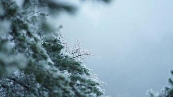 il bellissimo congelato montagne Visualizza coperto di il bianca neve e ghiaccio nel inverno foto