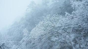 il bellissimo congelato montagne Visualizza coperto di il bianca neve e ghiaccio nel inverno foto