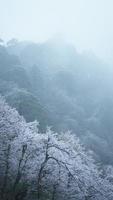 il bellissimo congelato montagne Visualizza coperto di il bianca neve e ghiaccio nel inverno foto