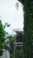 il estate Visualizza con il fiori e verde le foglie nel il città foto