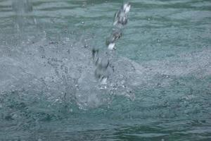 spruzzi acqua nel città fontane foto