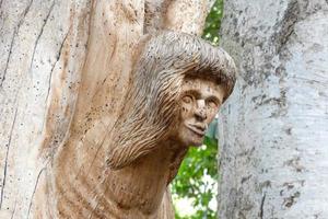scultura nel il forma di un' testa lavorato su un' albero ramo foto