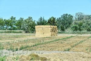 panoramico rurale paesaggio foto