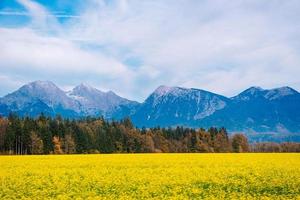 montagne delle alpi in slovenia foto