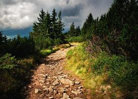 sentiero di ghiaia in alto nella zona pedemontana foto