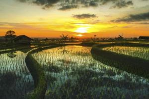 bellissimo mattina Visualizza Indonesia. panorama paesaggio risaia i campi con bellezza colore e cielo naturale leggero