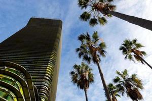 moderno ufficio edificio con colorato bicchiere e palma alberi foto