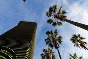 moderno ufficio edificio con colorato bicchiere e palma alberi foto