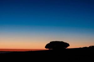 bellissimo notte cielo paesaggio foto