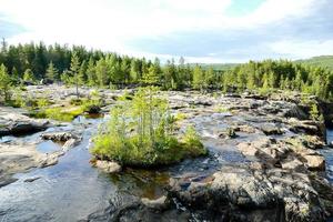 paesaggio nel Svezia, Europa foto