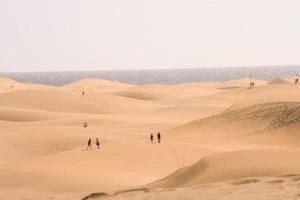 panoramico deserto paesaggio foto