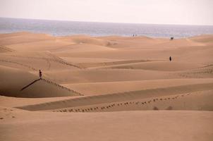 dune nel il sabbia foto