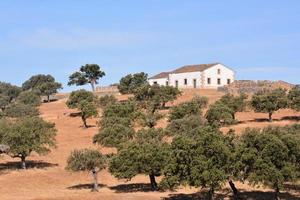 panoramico rurale paesaggio foto