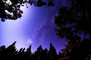 stelle nel cielo notturno foto