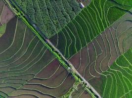 aereo Visualizza di verde riso terrazze nel Indonesia foto