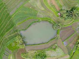 aereo Visualizza di verde riso terrazze nel Indonesia foto