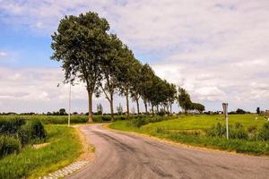 strada in campagna foto