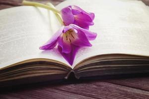 Aperto vecchio libro con Due viola fiori foto
