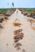 paesaggio su tenerife, Spagna foto