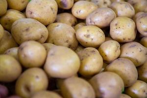 primo piano di patate foto