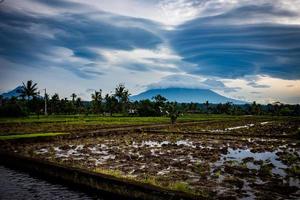 indonesiano riso polpetta nel il mattina con interessante nuvole foto