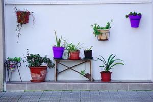 vasi di fiori in strada foto