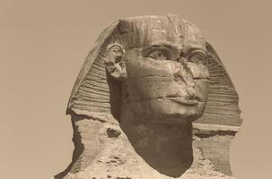 testa di il grande sfinge nel Giza foto