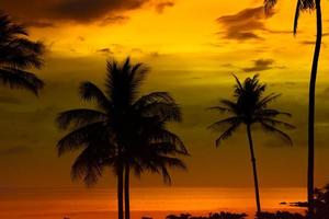 silhouette di palme bellissimo tramonto sullo sfondo della spiaggia del mare tropicale per viaggiare in vacanza tempo di relax, foto