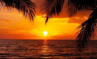 bellissimo tramonto tropicale spiaggia con palma albero e blu cielo per viaggio e vacanza nel vacanza rilassare tempo foto