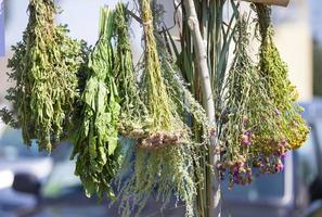 scope fatto di asciutto medicinale erbe aromatiche appendere nel il aria. foto