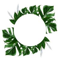 cornice foglia verde tropicale su sfondo bianco