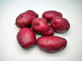 rosso Patata, isolato su bianca sfondo foto
