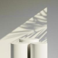 3d interpretazione di Prodotto Schermo podio In piedi con ombra natura le foglie su grigio sfondo. foto
