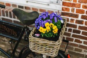 vecchio bicicletta con alcuni un' fiore cestino foto