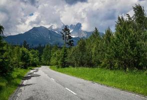 strada asfaltata attraverso boschi di montagna con picchi foto