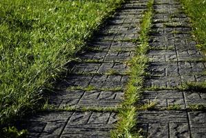 pavimentazione sul prato verde foto