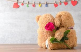 indietro lato di Due orsacchiotto orso con rosso rosa foto