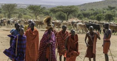 dicembre 30 2017. masai mara nazionale parco, kenya, Africa. un' gruppo di masai raccogliere per eseguire tradizionale balli per turisti. foto