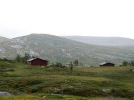 crociera nel il fiordi di Norvegia foto