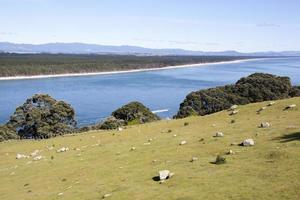 montare maunganui cittadina parco pietre e matakana isola foto