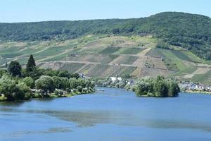 mosel nel zell con un isola foto