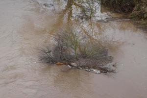 spazzatura isola nel il alluvione foto