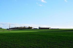 verde i campi con un' azienda agricola foto