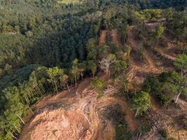 aereo Visualizza la deforestazione attività foto