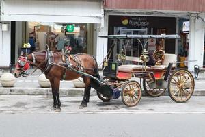 trainato da cavalli carrozza parchi su il lato strada foto