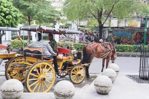 un' trainato da cavalli carrozza parchi su il lato strada foto